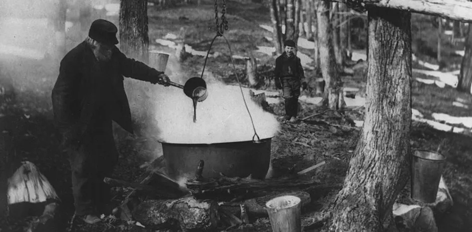 Traditional Canadian Maple Syrup Making